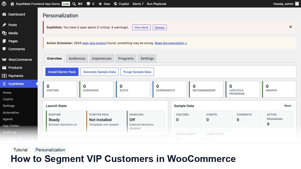 SophMate tutorial image for How to Segment VIP Customers in WooCommerce showing the related wp-admin workflow context.