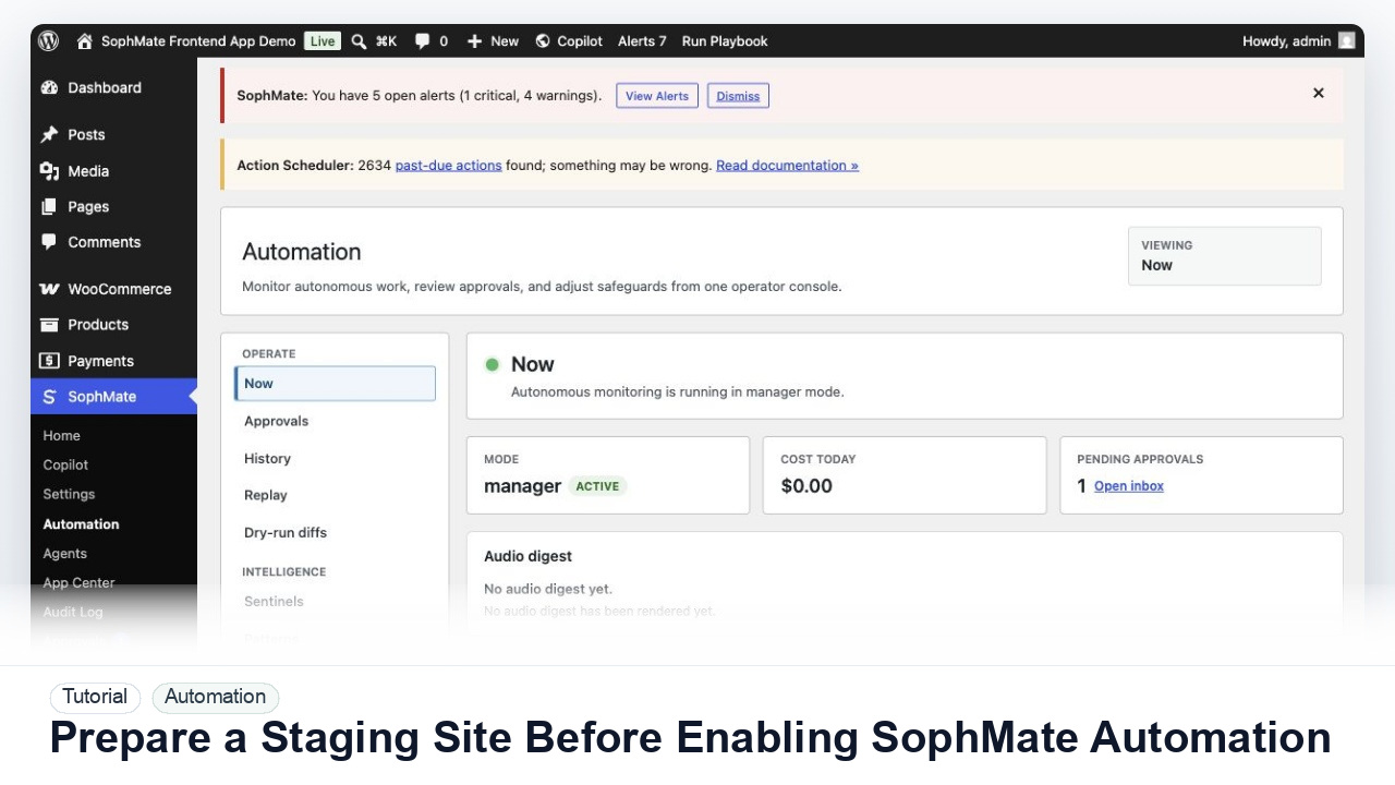 SophMate tutorial image for Prepare a Staging Site Before Enabling SophMate Automation showing the related wp-admin workflow context.