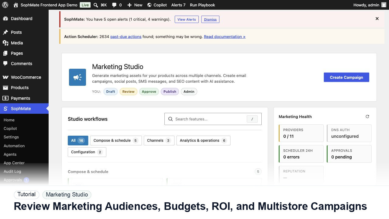SophMate tutorial image for Review Marketing Audiences, Budgets, ROI, and Multistore Campaigns showing the related wp-admin workflow context.