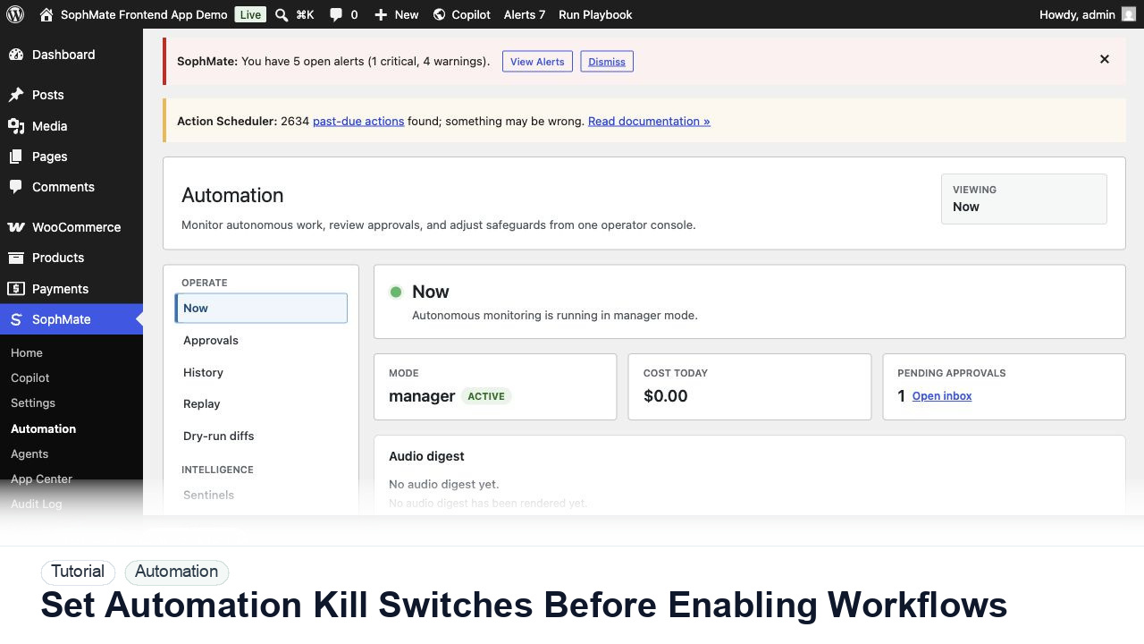 SophMate tutorial image for Set Automation Kill Switches Before Enabling Workflows showing the related wp-admin workflow context.